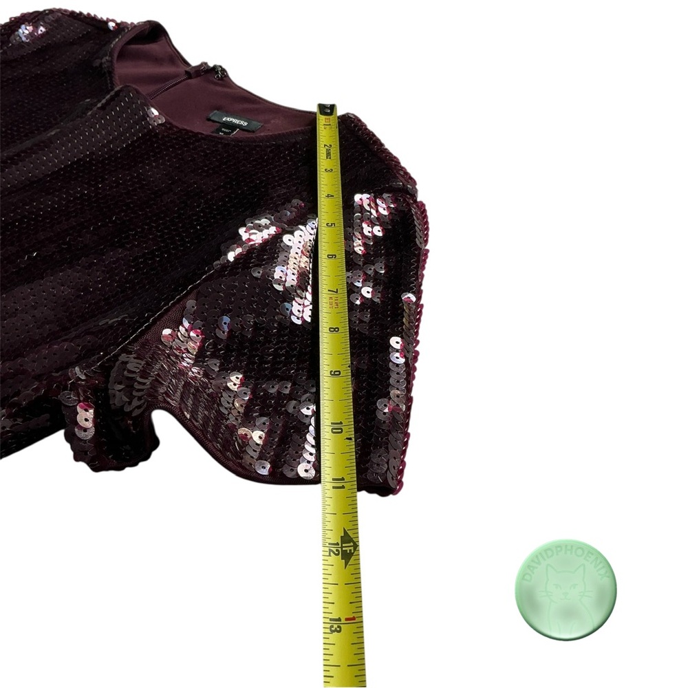 Express Burgundy Sequin Feather Hem Mini Dress – Size Medium New Without Tags - Picture 13 of 14